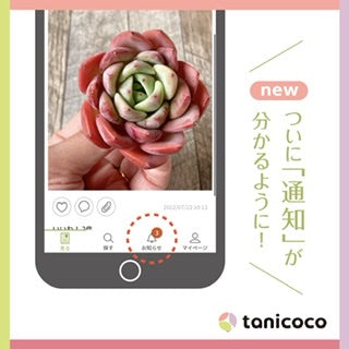 tanicoco 便利な新機能のご紹介