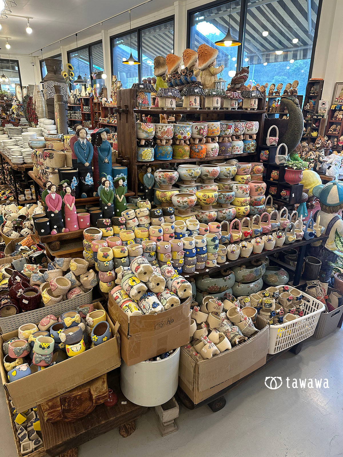 韓国 多肉めぐり旅 第2弾 〜1日目〜