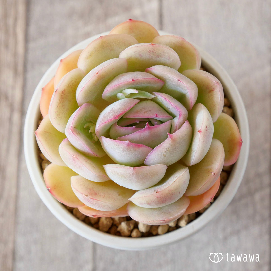 Strawberry ice cream