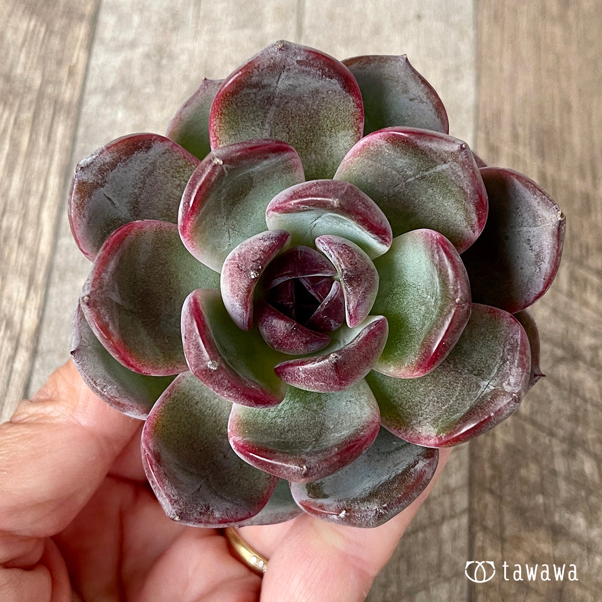 *新入荷* ダークオパール【大サイズ】