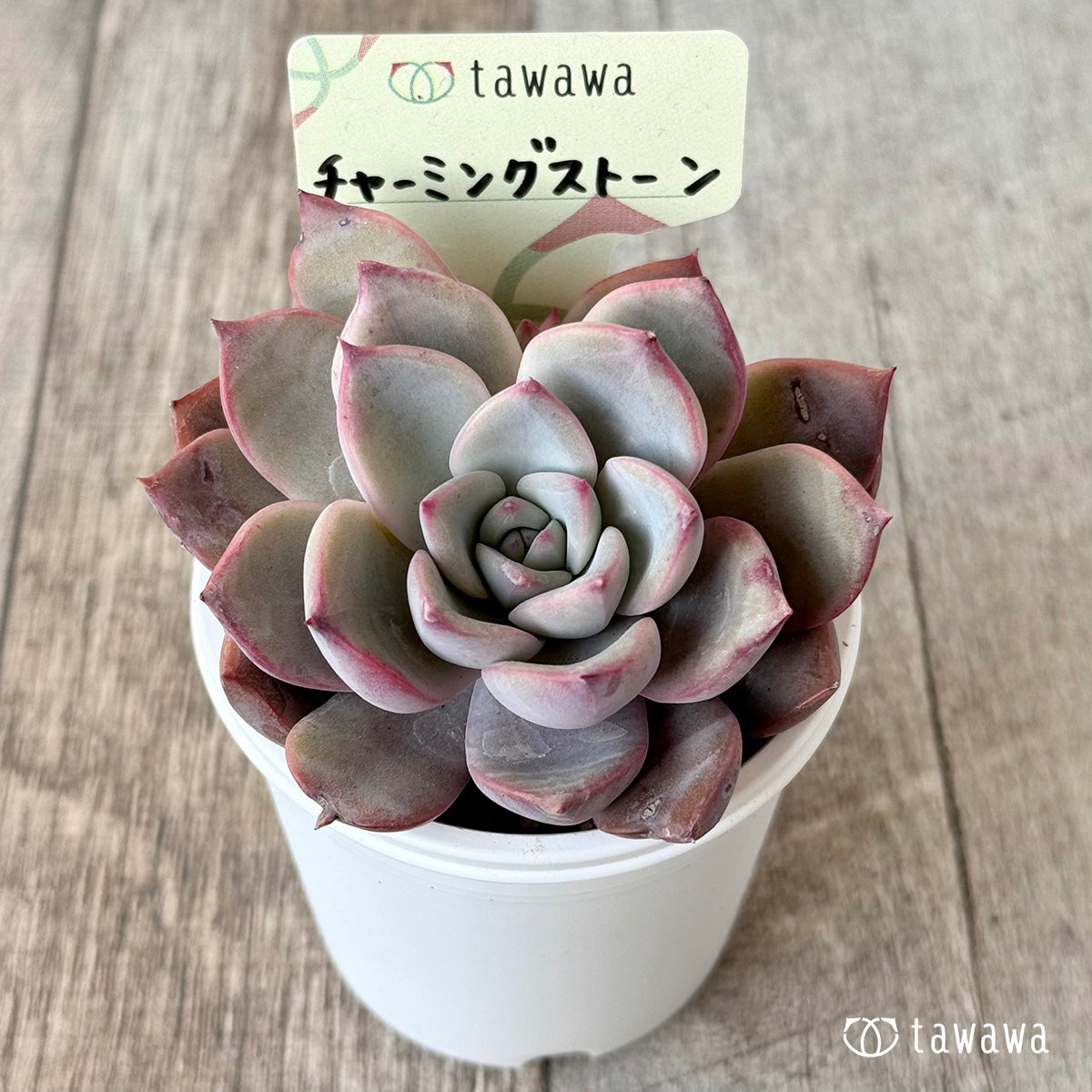 Koroki