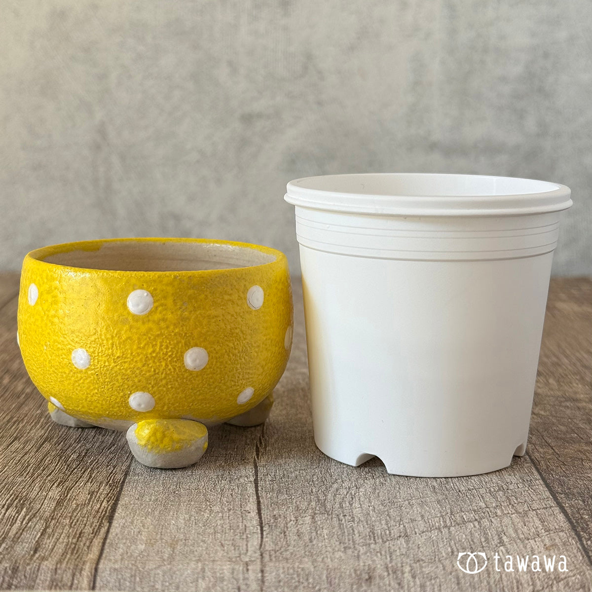Korean Pot 223 (Sold Out)