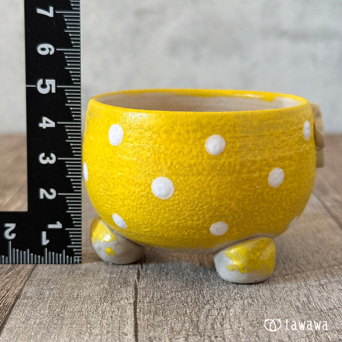 Korean Pot 223 (Sold Out)