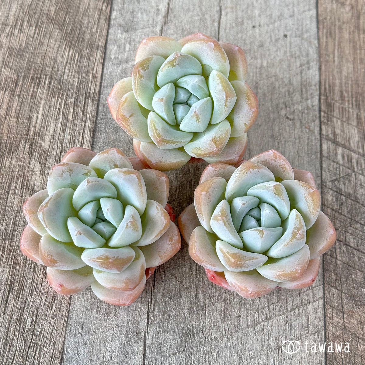 New Arrivals: Ice Green
