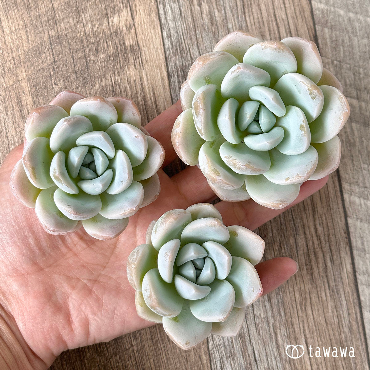 New Arrivals: Ice Green