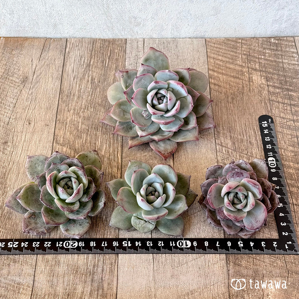 New Arrivals: Ice Green