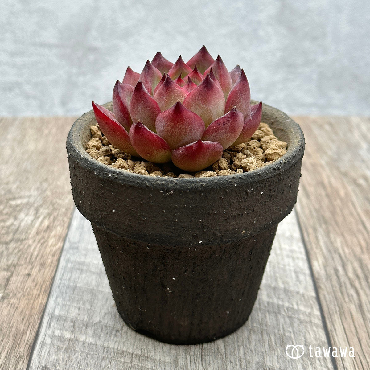 Fire Pillar