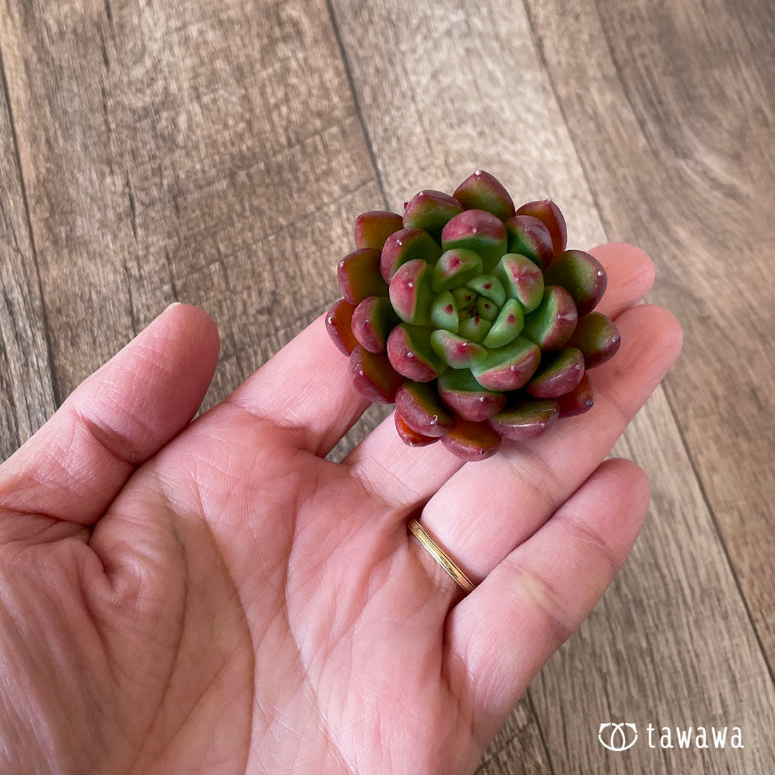 New Arrivals: Ice Green