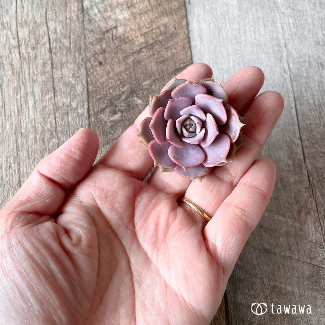 New Arrivals: Ice Green