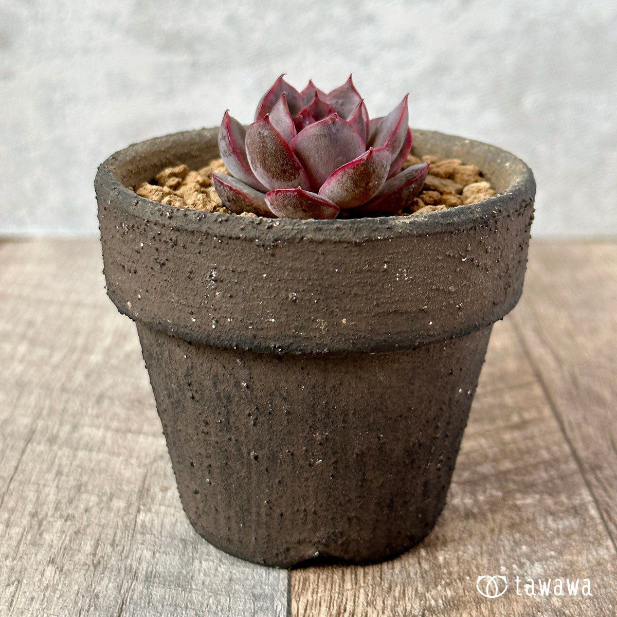 밀리네