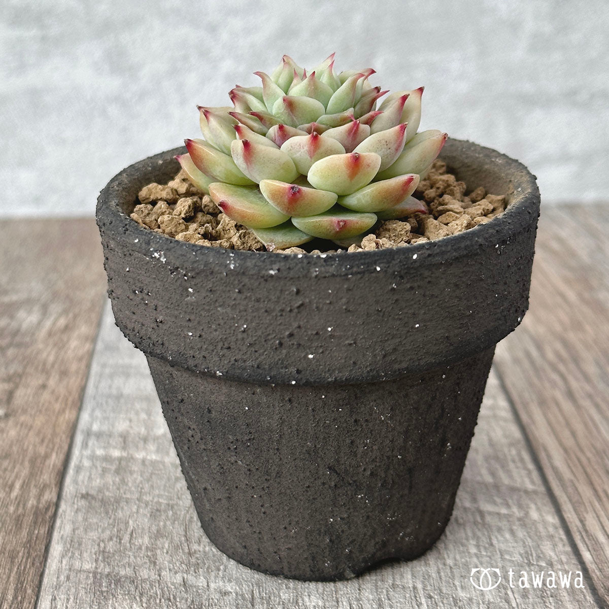 New Arrivals: Ice Green