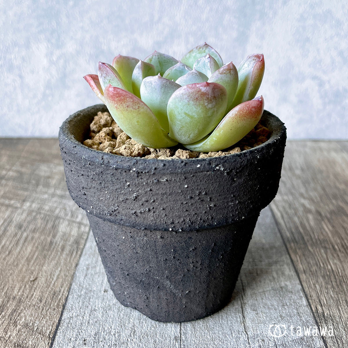 요요