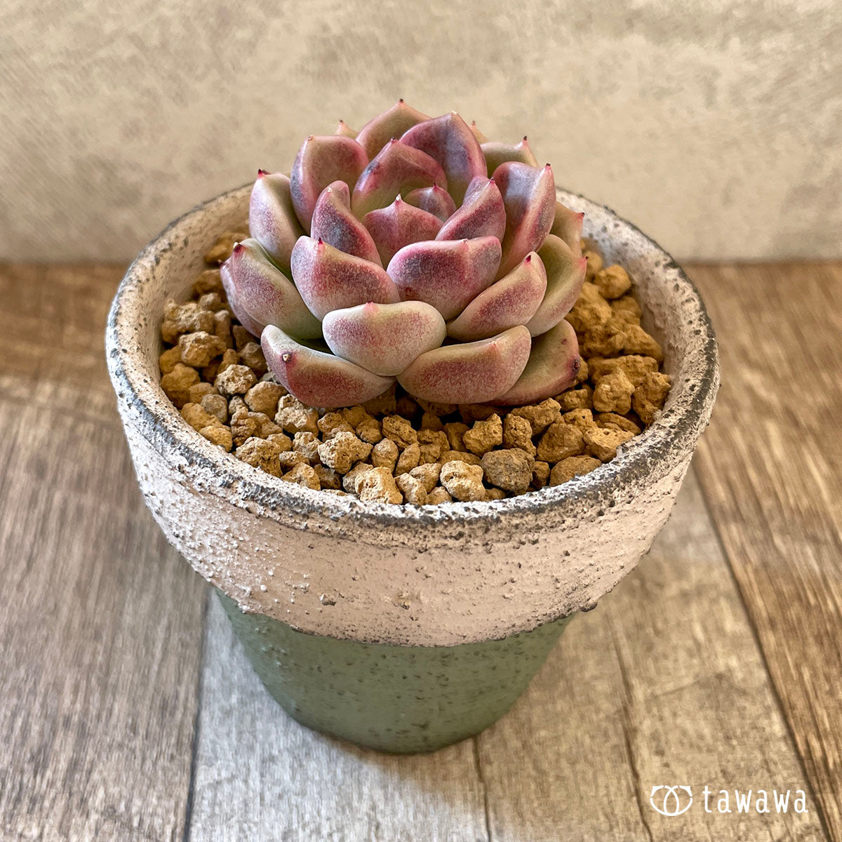 New Arrival* Cubic Frost