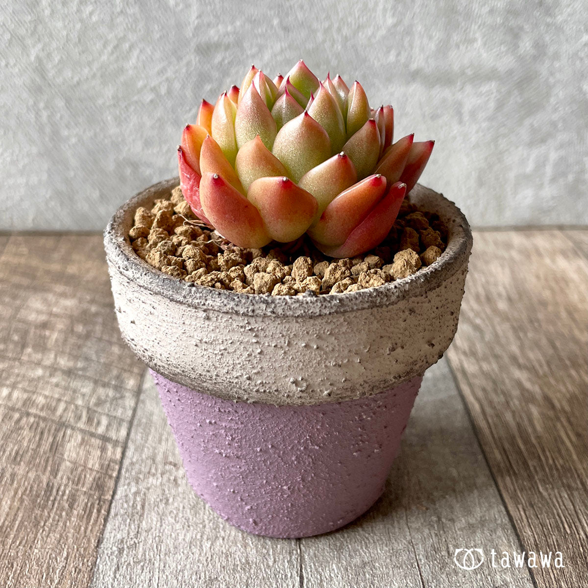 New Arrival* Cubic Frost