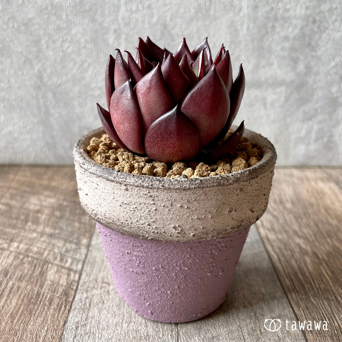 청바지