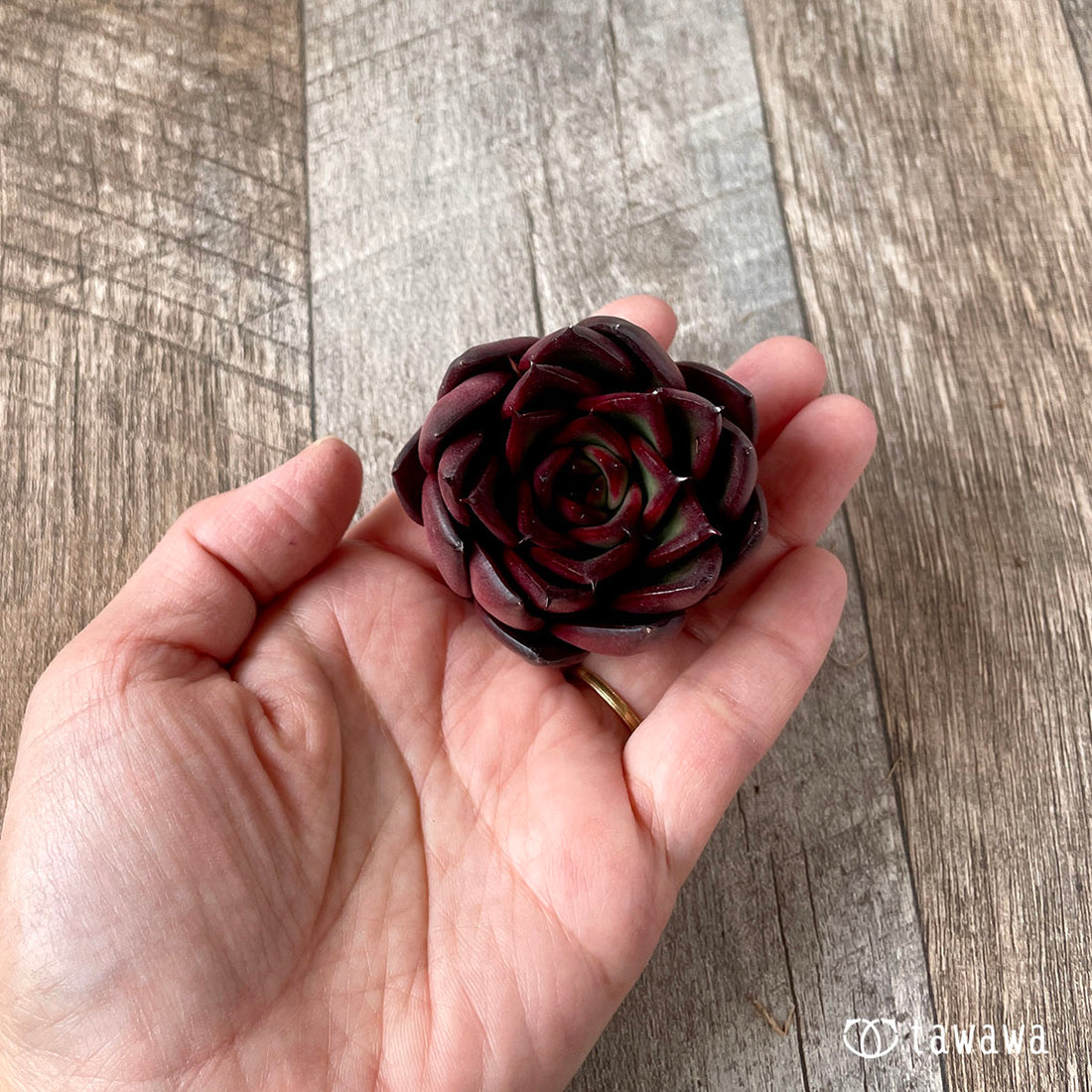 New Arrival* Cubic Frost