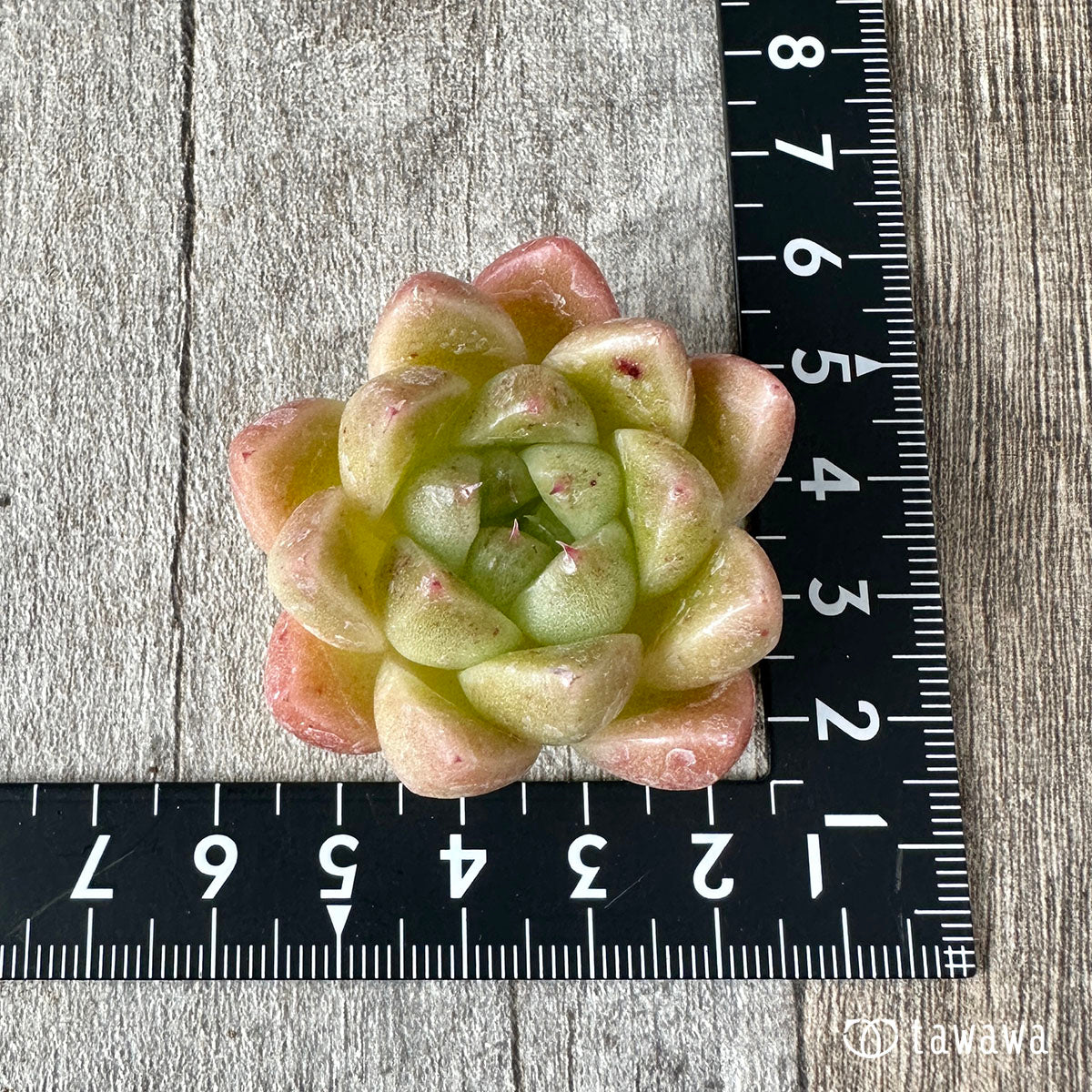 New Arrivals: Ice Green