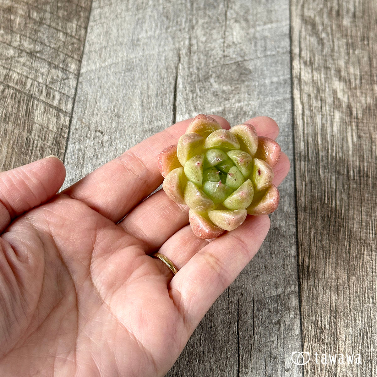 New Arrivals: Ice Green