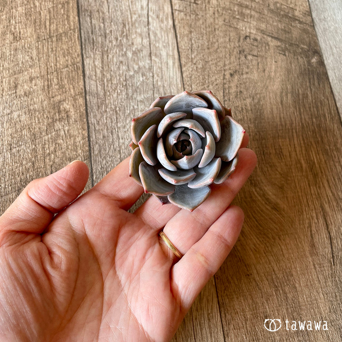 New Arrival* Cubic Frost