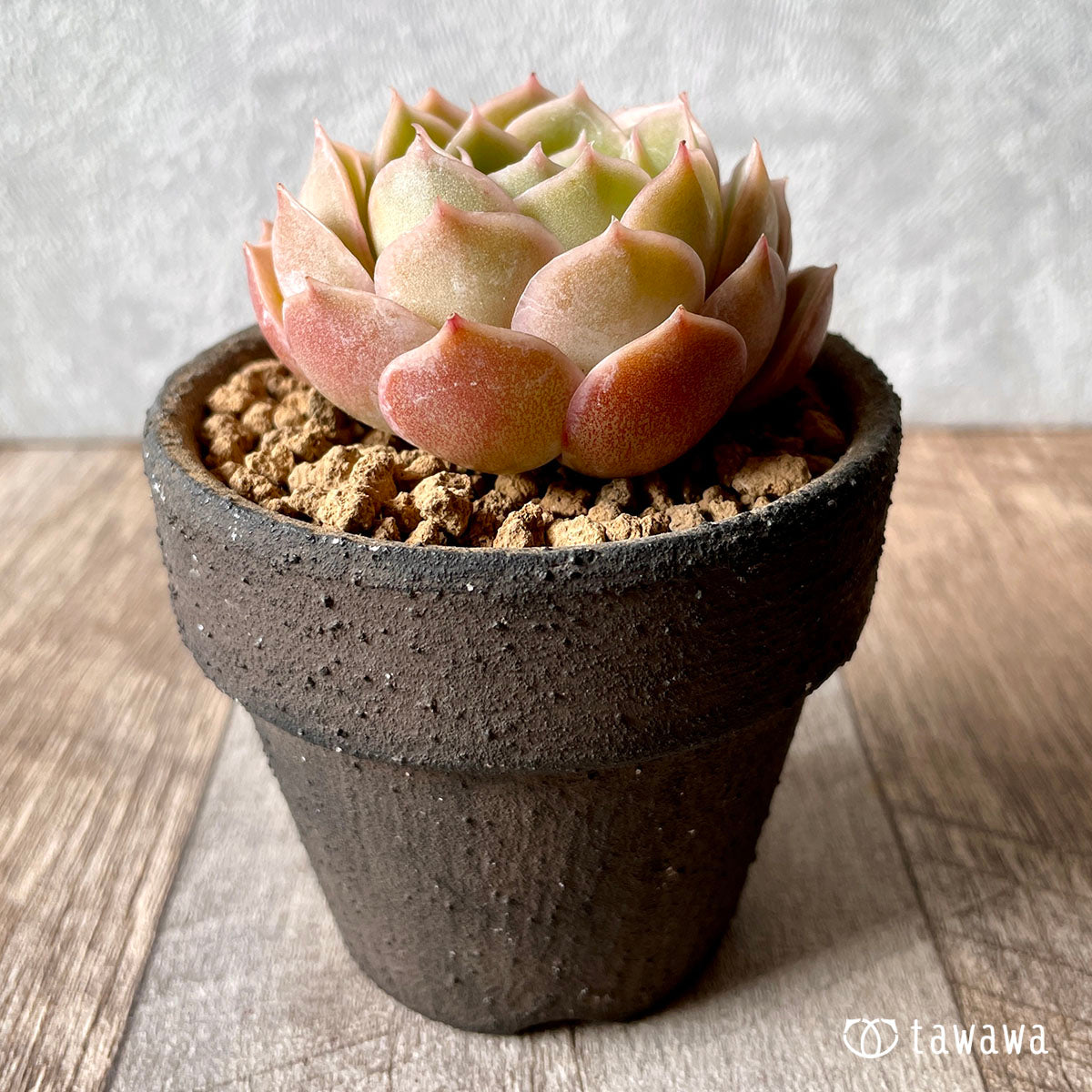 오운슬로우