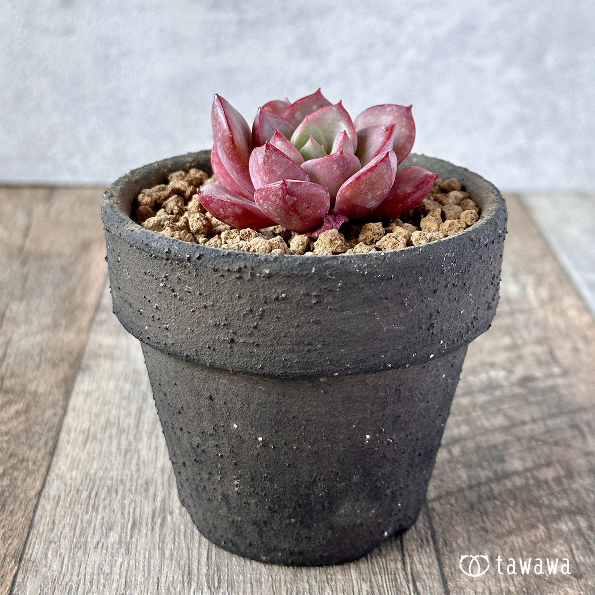 New Arrivals: Ice Green
