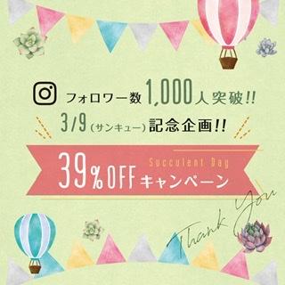 《記念企画》インスタ フォロワー様1000人突破　39企画 | 多肉植物の通販・販売サイト tawawa