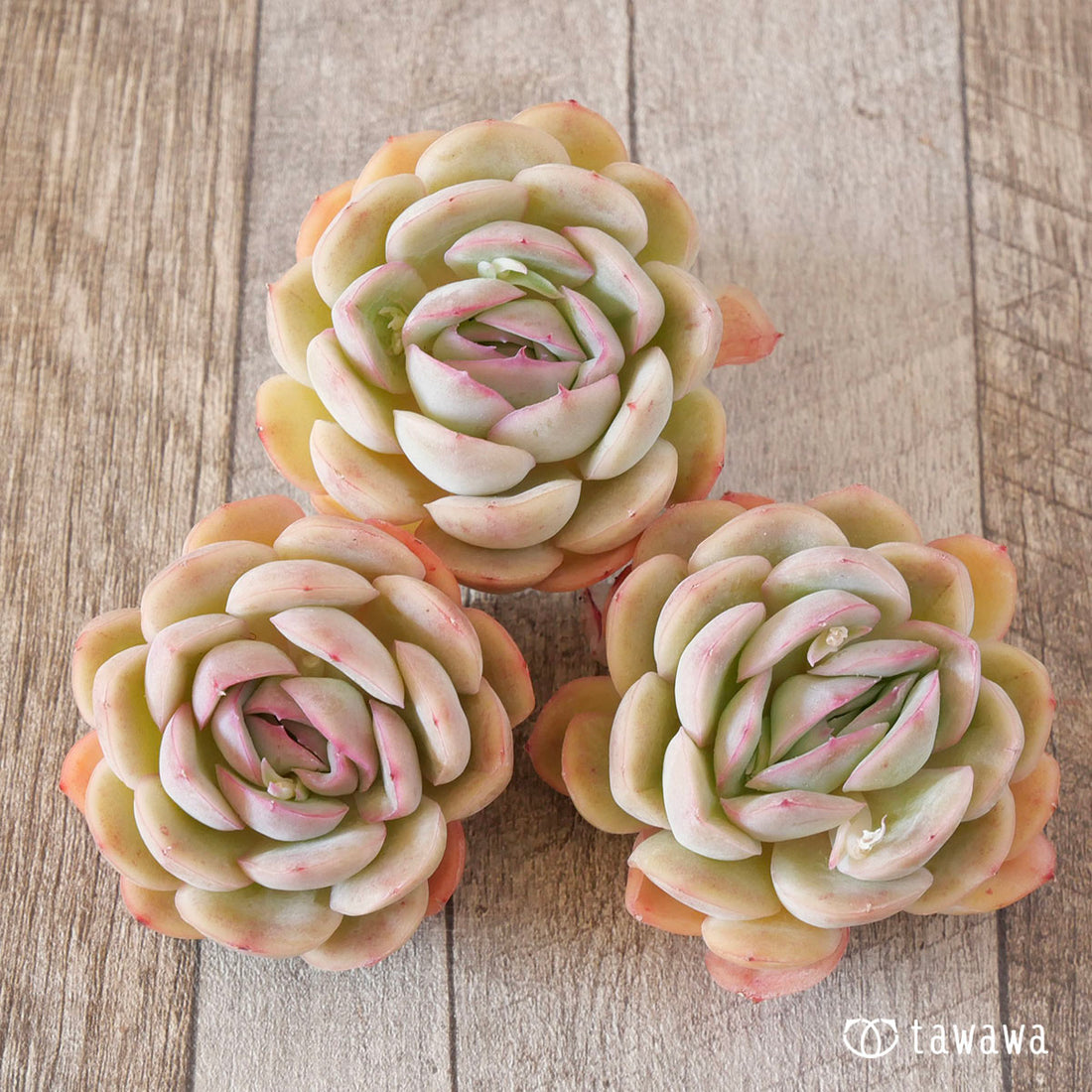 Strawberry ice cream