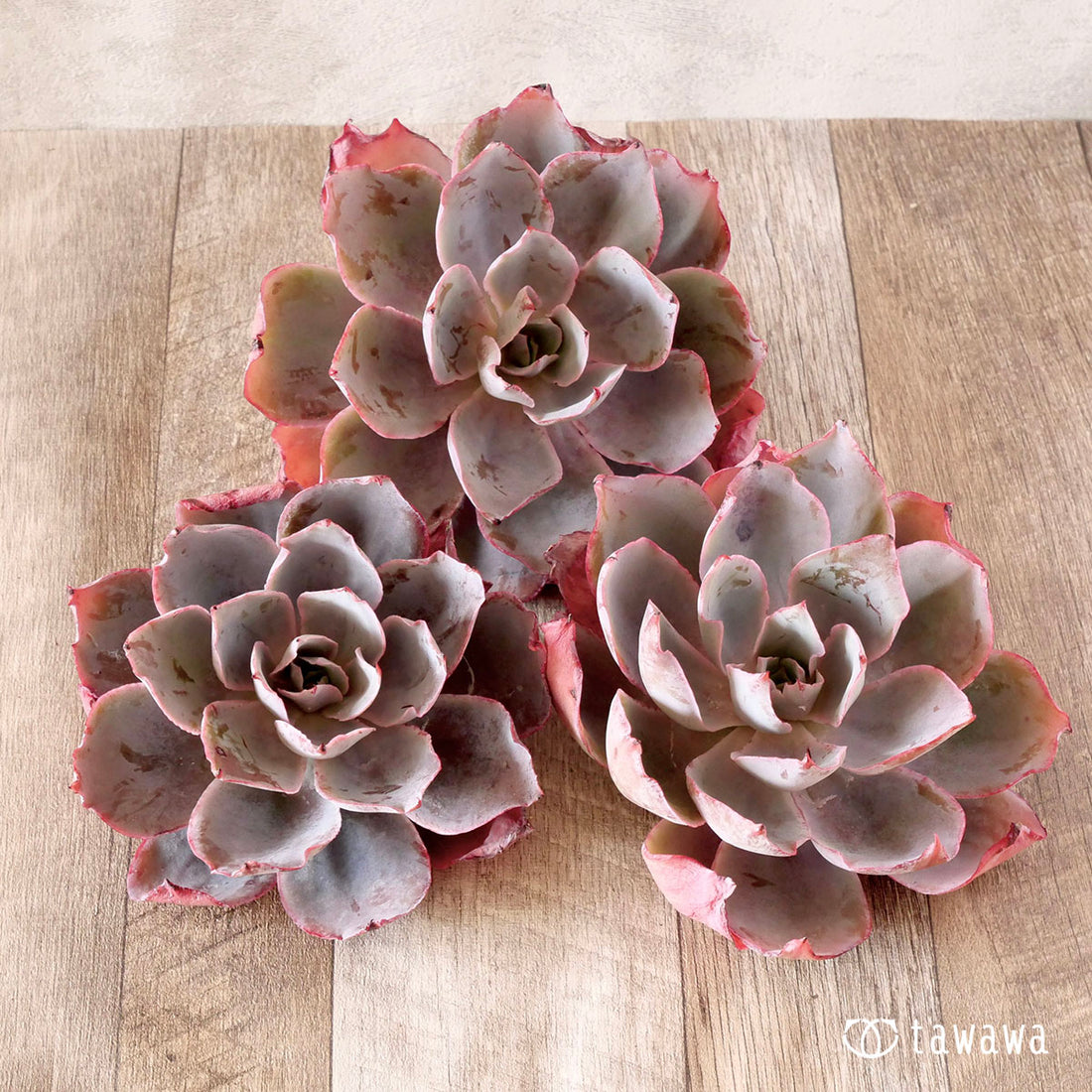 New Arrival* Cubic Frost