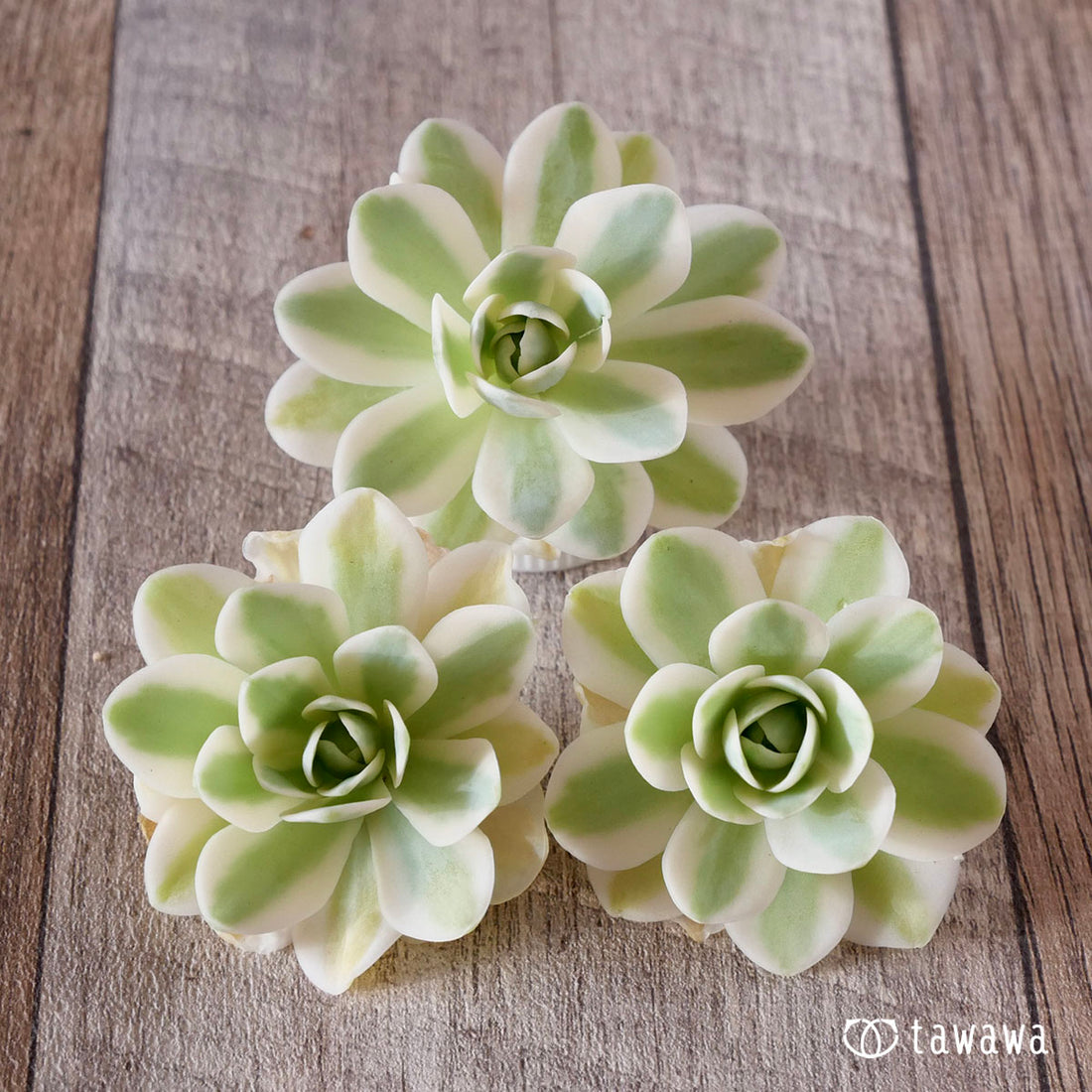 New Arrival* Cubic Frost