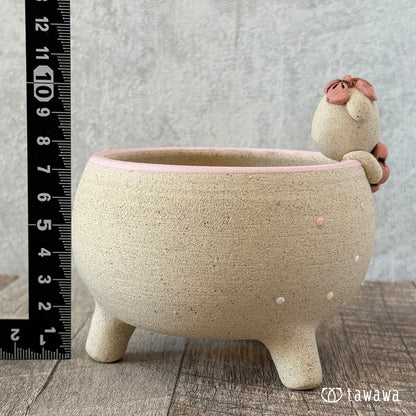 Korean Pot 333 (Sold Out)