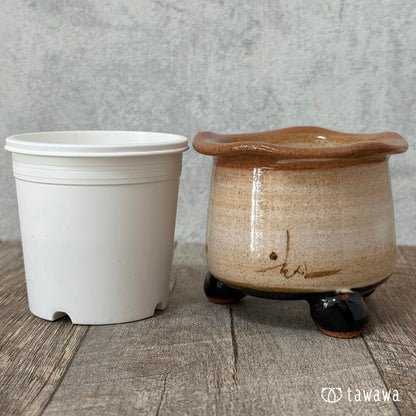 ＊新発売＊　韓国鉢　337