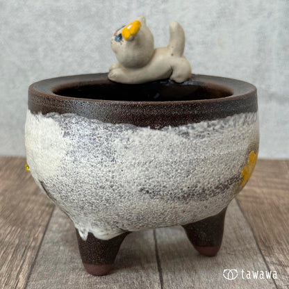 ＊新発売＊　韓国鉢　341