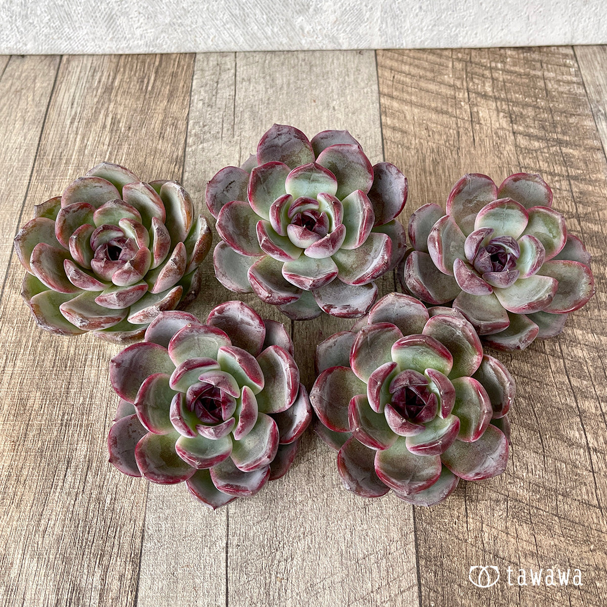 ＊新入荷＊　ダークオパール【大サイズ】