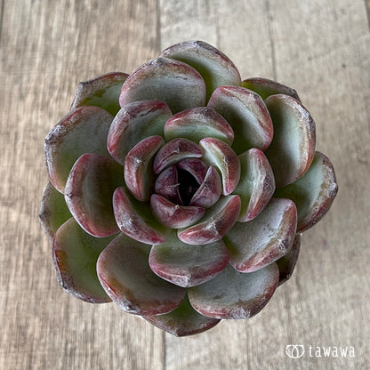 ＊新入荷＊　ダークオパール【大サイズ】