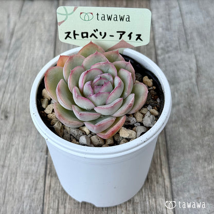 Strawberry ice cream