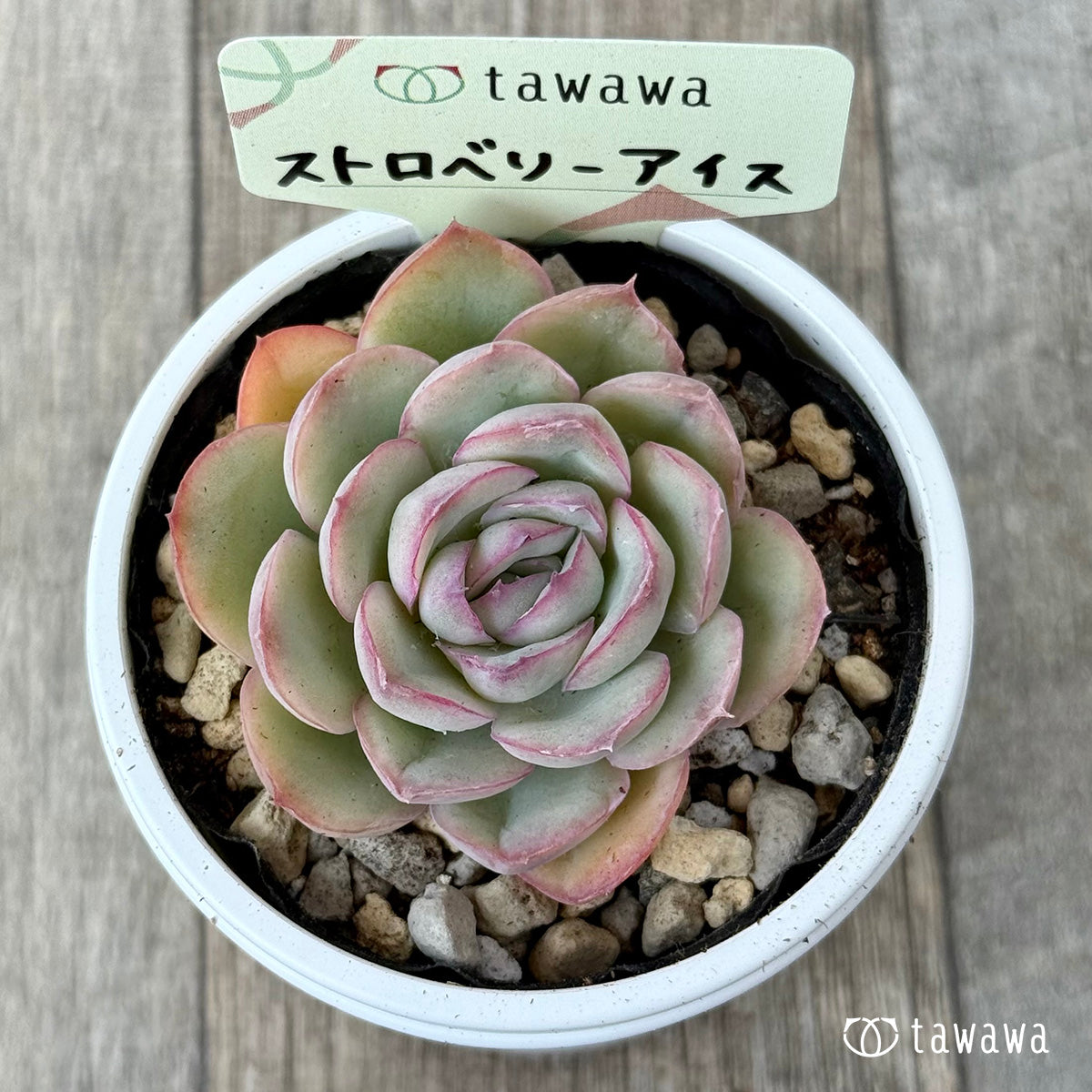 Strawberry ice cream