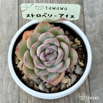 Strawberry ice cream