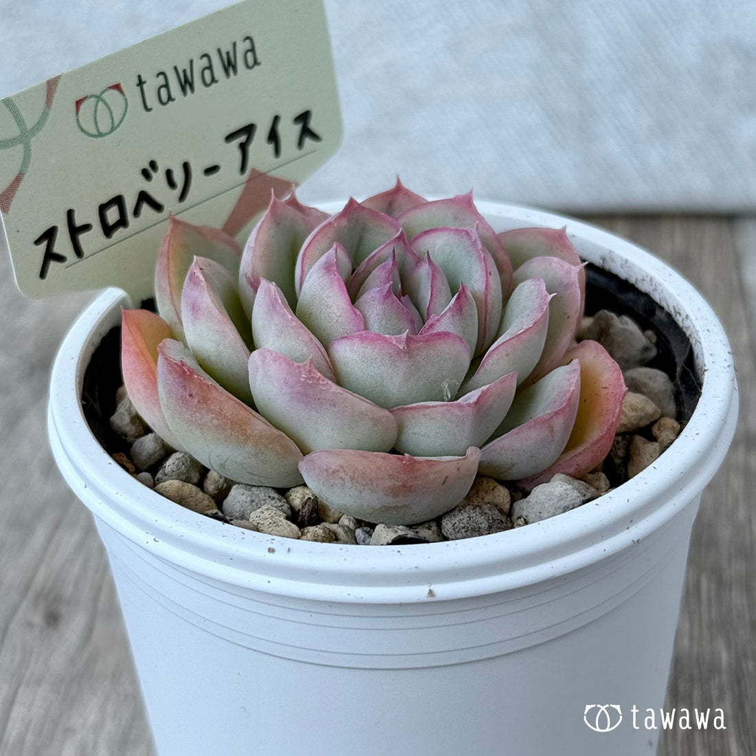 Strawberry ice cream