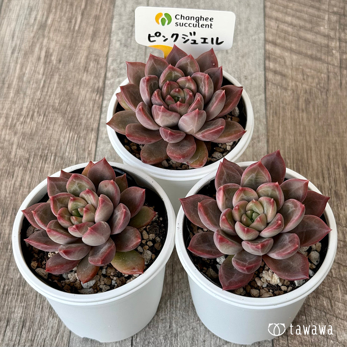 New Arrivals: Ice Green