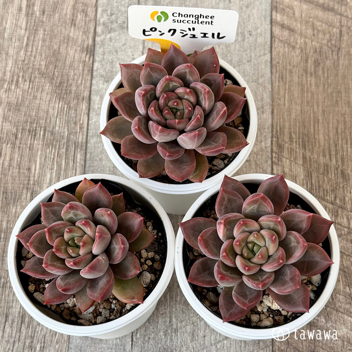 New Arrivals: Ice Green