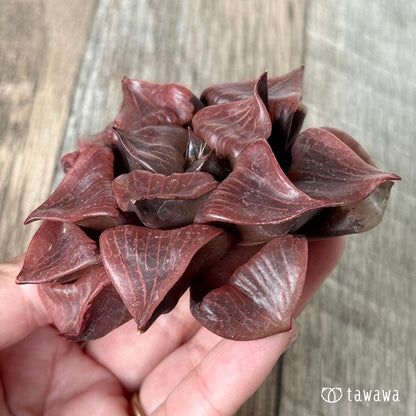 New Arrivals: Ice Green