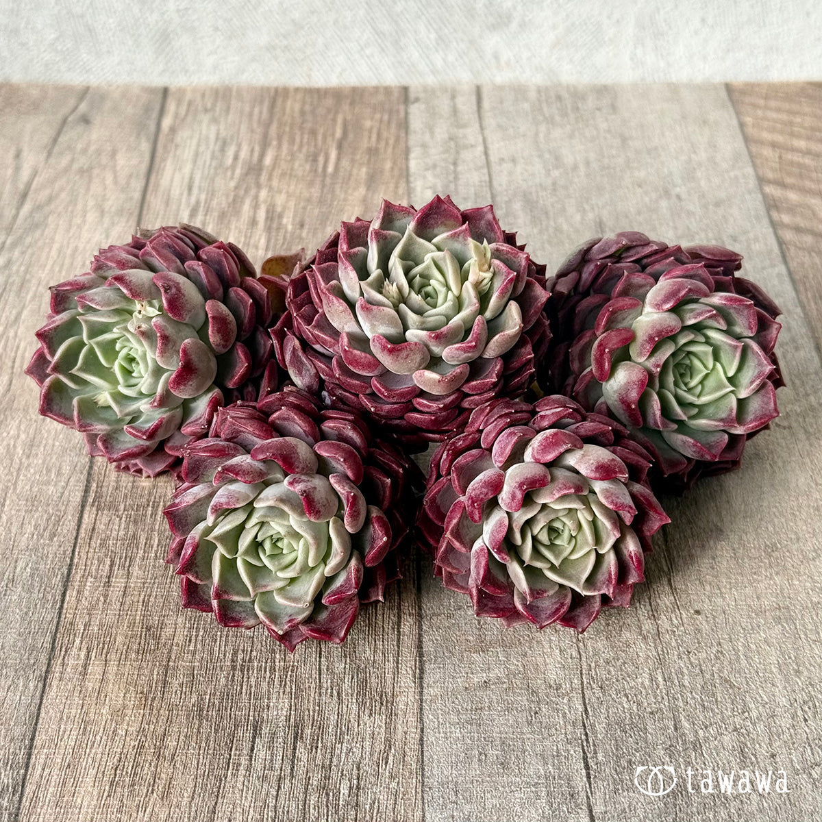 ＊新入荷＊　ハンアルム