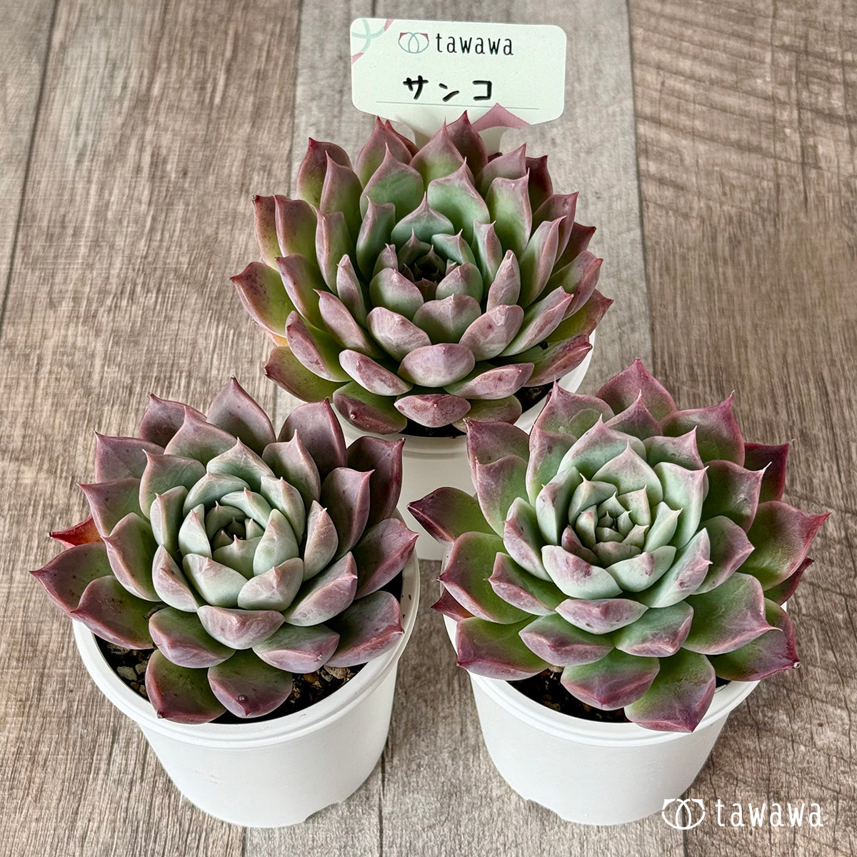 All products – tagged 