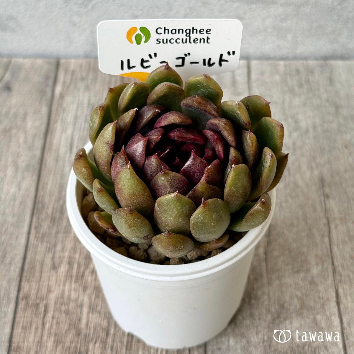 New Arrivals: Ice Green
