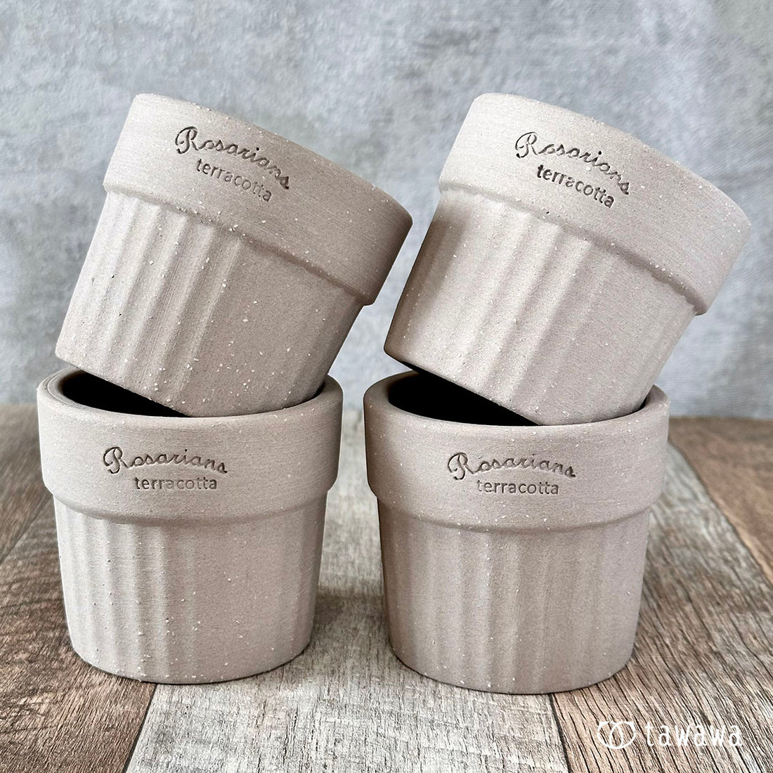 Korean pot 187 (sold out)