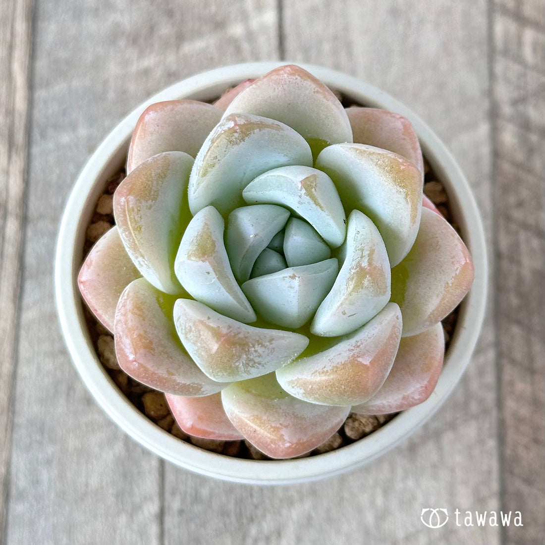 New Arrivals: Ice Green