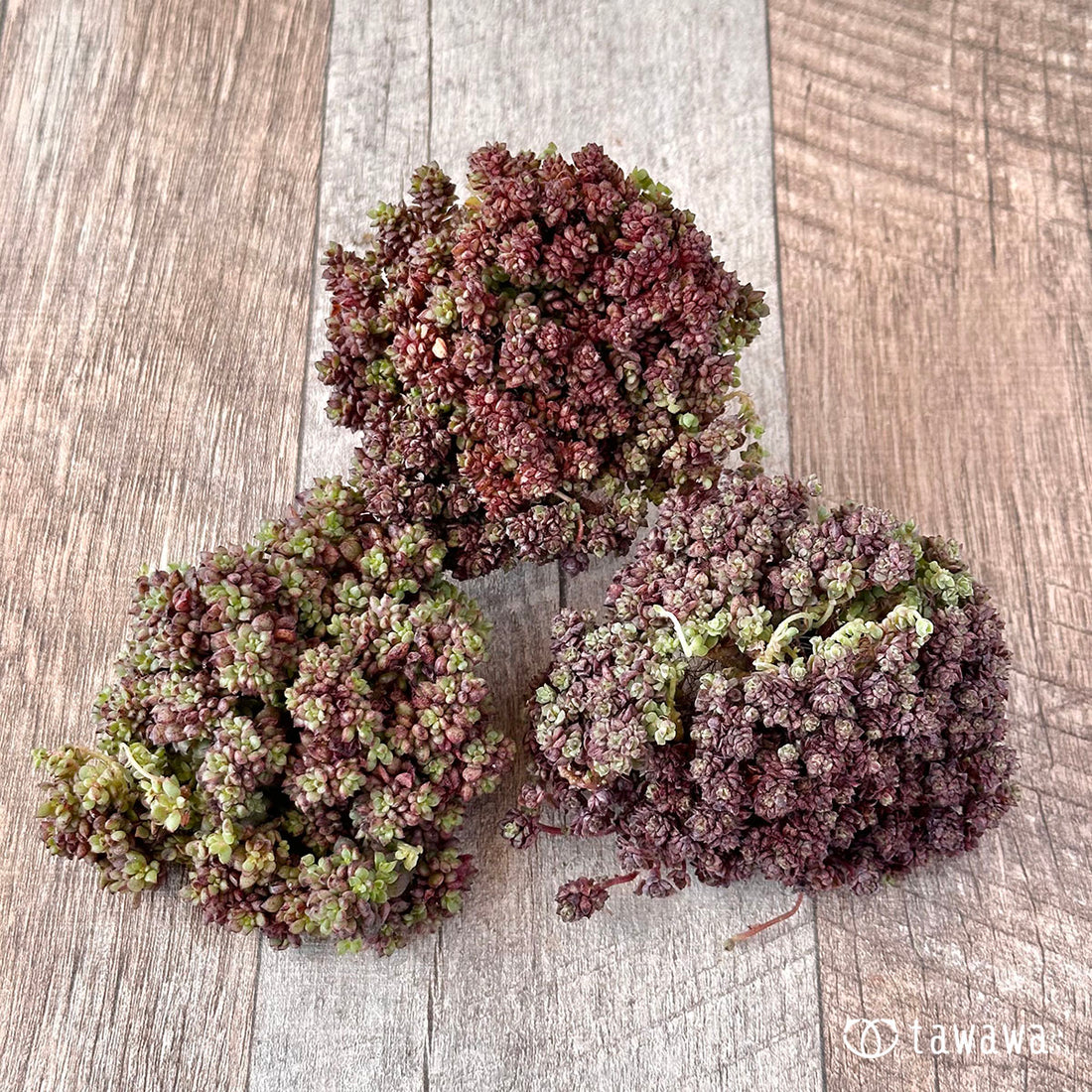 New Arrivals: Ice Green