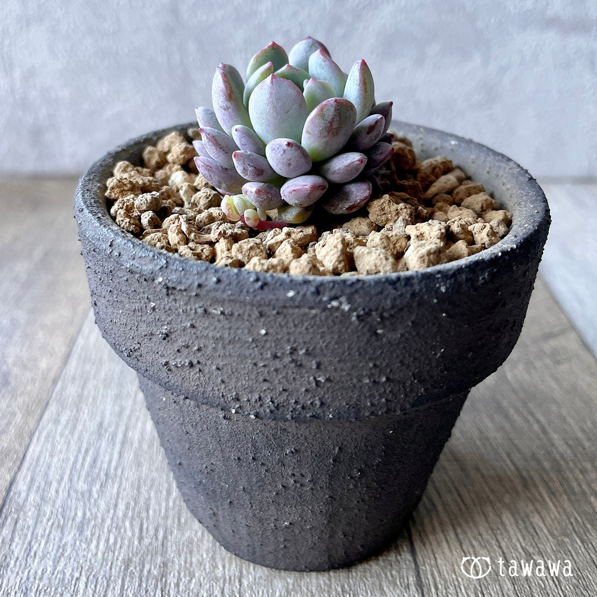 New Arrivals: Ice Green