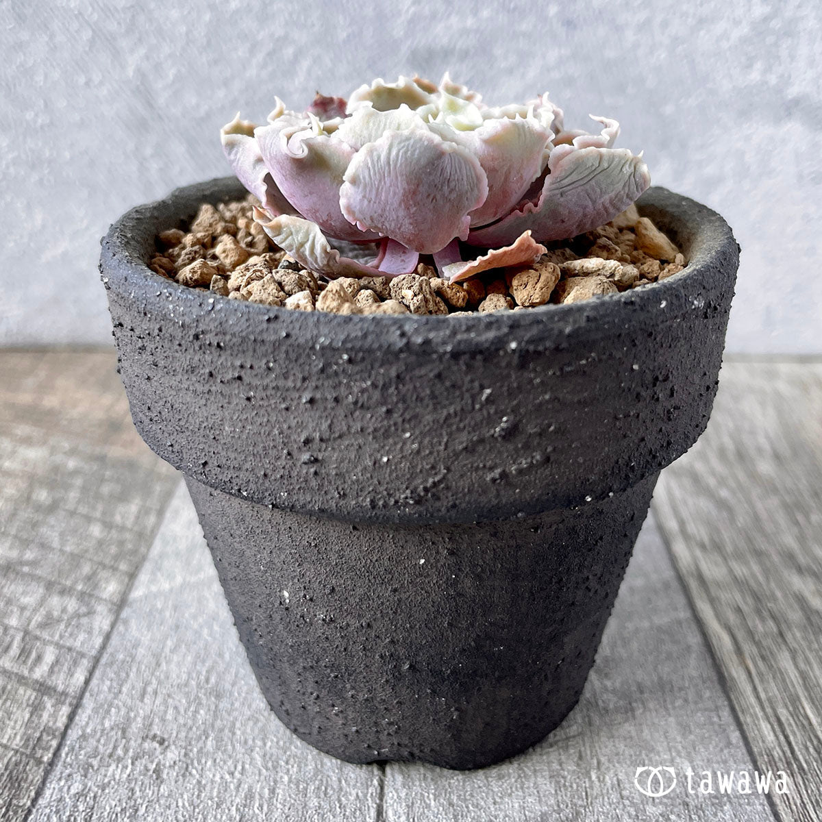 New Arrival* Cubic Frost
