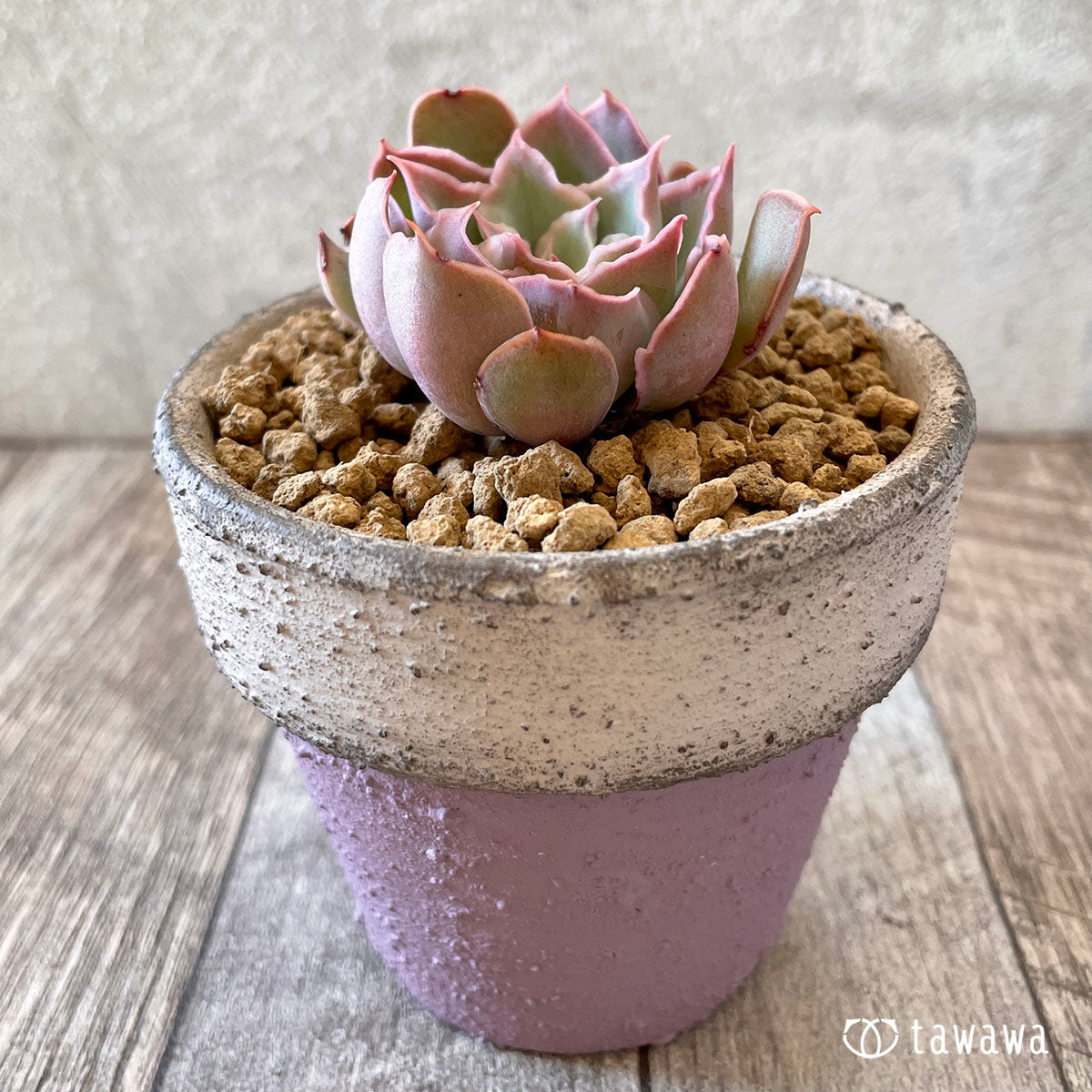 New Arrival* Cubic Frost